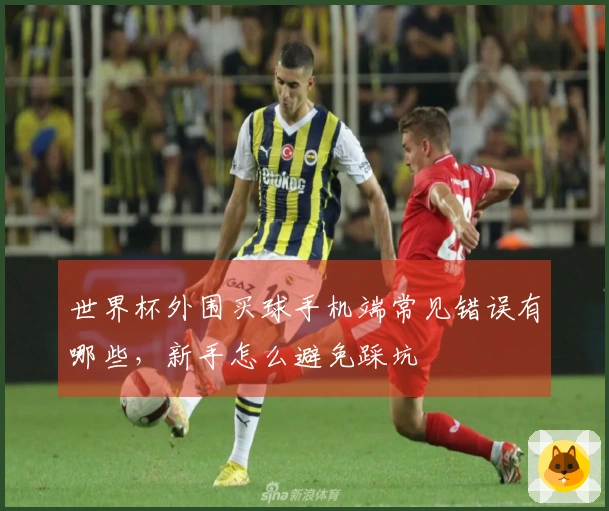 世界杯外围买球手机端常见错误有哪些，新手怎么避免踩坑