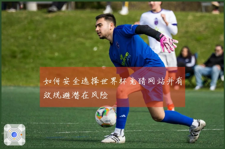 如何安全选择世界杯竞猜网站并有效规避潜在风险