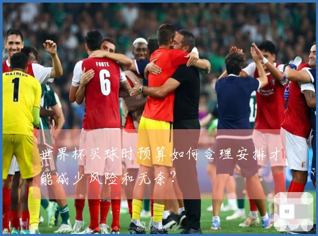 世界杯买球时预算如何合理安排才能减少风险和无奈？