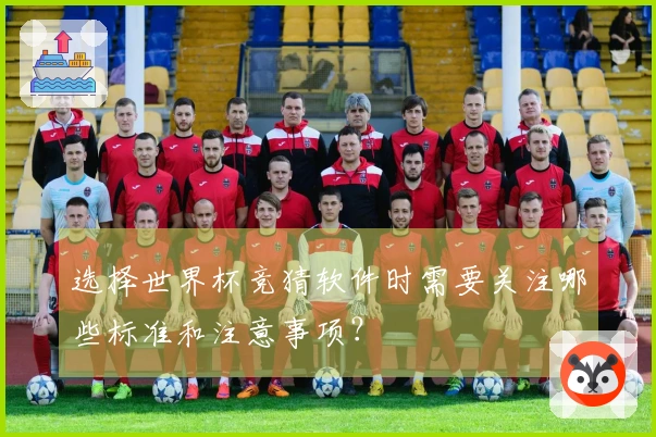 选择世界杯竞猜软件时需要关注哪些标准和注意事项？
