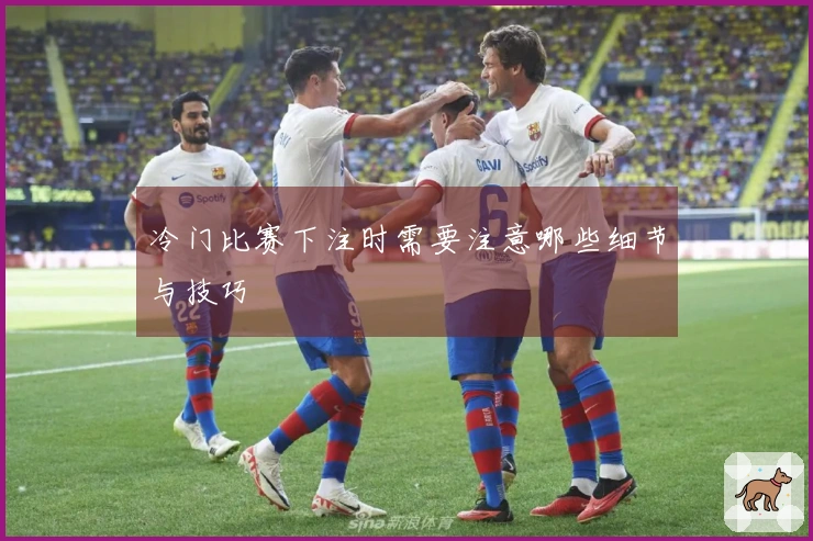 冷门比赛下注时需要注意哪些细节与技巧
