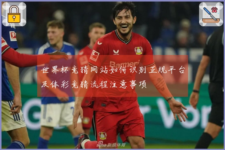 世界杯竞猜网站如何识别正规平台及体彩竞猜流程注意事项