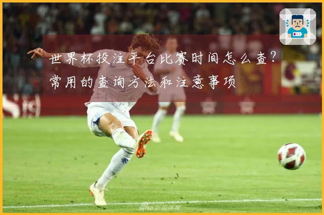 世界杯投注平台比赛时间怎么查？常用的查询方法和注意事项