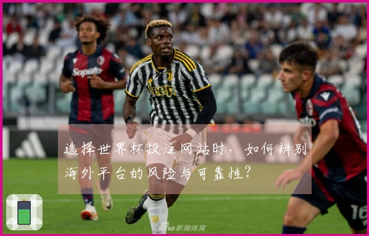 选择世界杯投注网站时，如何辨别海外平台的风险与可靠性？