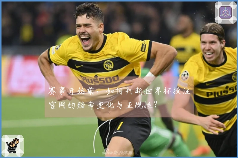 赛事开始前，如何判断世界杯投注官网的赔率变化与正规性？