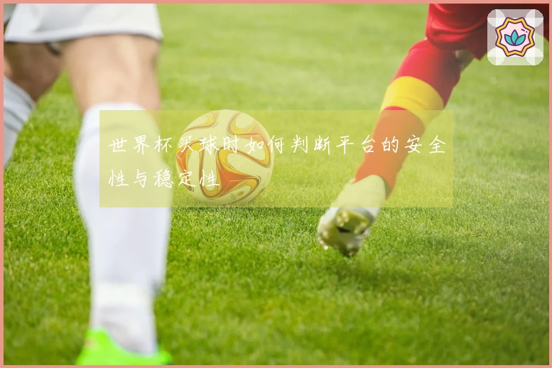 世界杯买球时如何判断平台的安全性与稳定性
