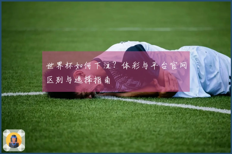 世界杯如何下注？体彩与平台官网区别与选择指南