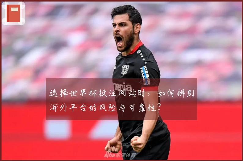选择世界杯投注网站时，如何辨别海外平台的风险与可靠性？