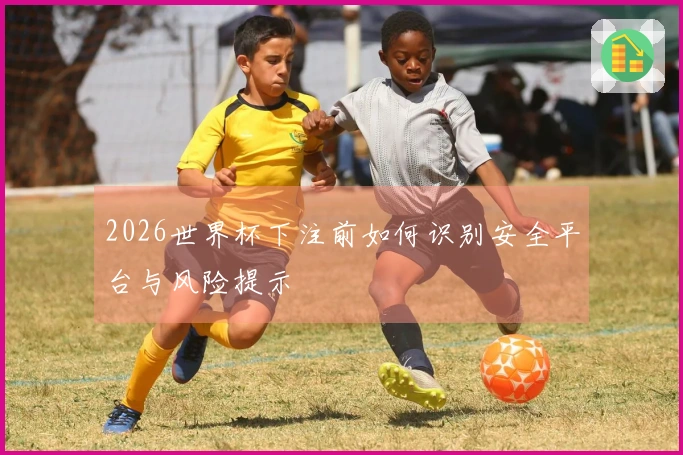 2026世界杯下注前如何识别安全平台与风险提示