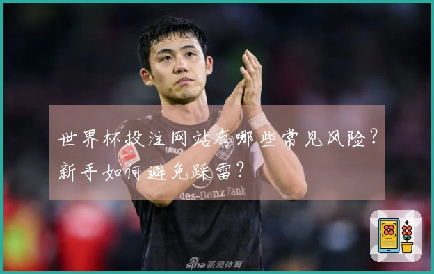 世界杯投注网站有哪些常见风险？新手如何避免踩雷？