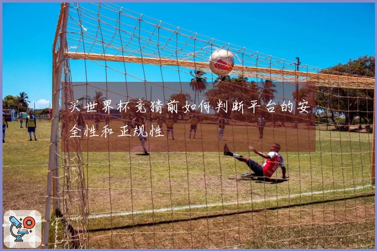 买世界杯竞猜前如何判断平台的安全性和正规性