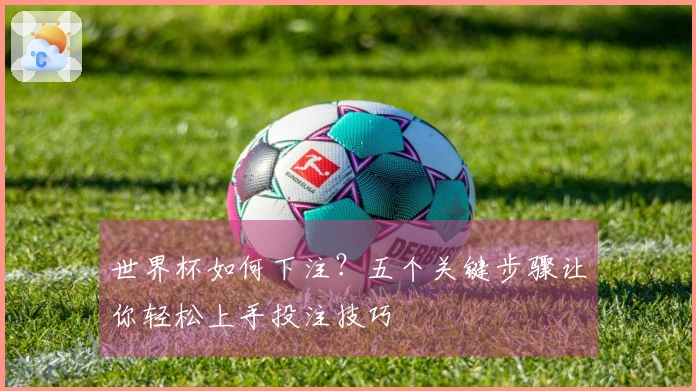 世界杯如何下注？五个关键步骤让你轻松上手投注技巧