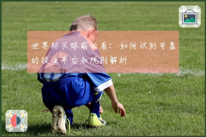 世界杯买球前必看：如何识别可靠的投注平台和规则解析