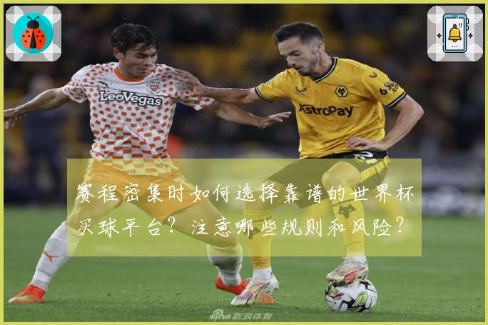 赛程密集时如何选择靠谱的世界杯买球平台？注意哪些规则和风险？