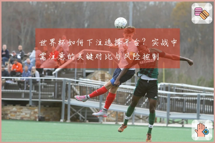 世界杯如何下注选择平台？实战中需注意的关键对比与风险控制