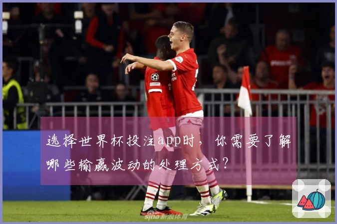 选择世界杯投注app时，你需要了解哪些输赢波动的处理方式？