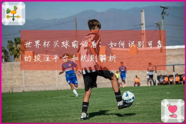 世界杯买球前必看：如何识别可靠的投注平台和规则解析