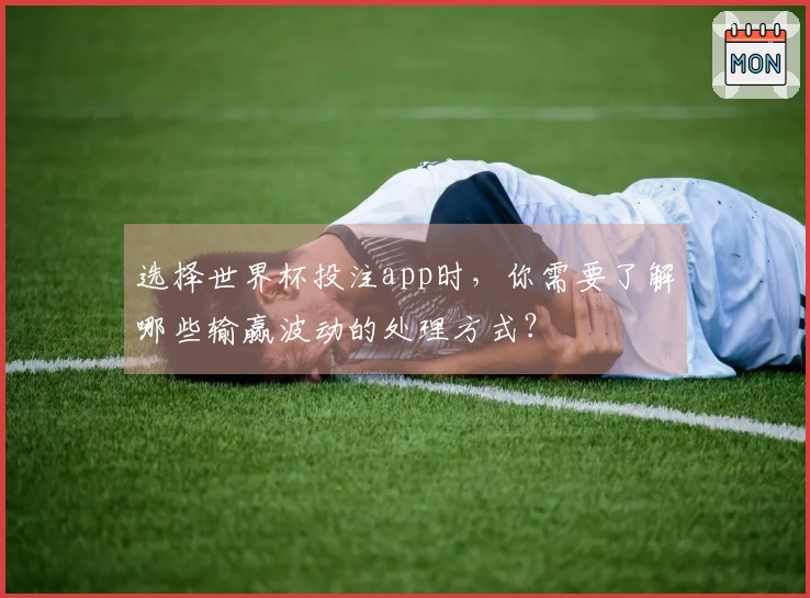选择世界杯投注app时，你需要了解哪些输赢波动的处理方式？