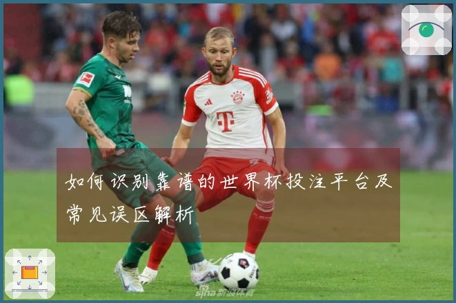 如何识别靠谱的世界杯投注平台及常见误区解析
