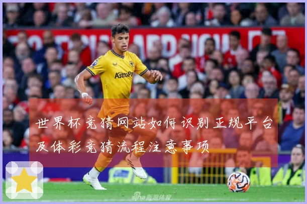 世界杯竞猜网站如何识别正规平台及体彩竞猜流程注意事项