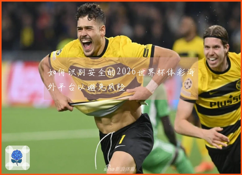 如何识别安全的2026世界杯体彩海外平台以避免风险
