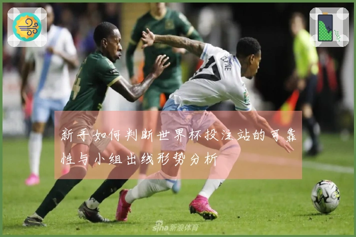 新手如何判断世界杯投注站的可靠性与小组出线形势分析