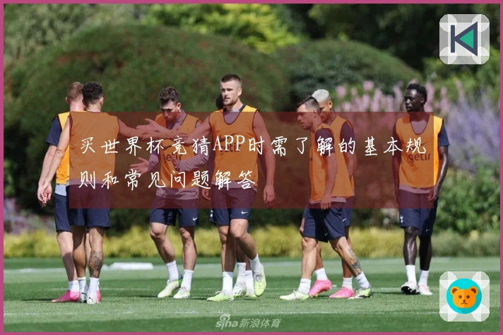 买世界杯竞猜APP时需了解的基本规则和常见问题解答