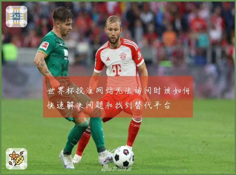 世界杯投注网站无法访问时该如何快速解决问题和找到替代平台