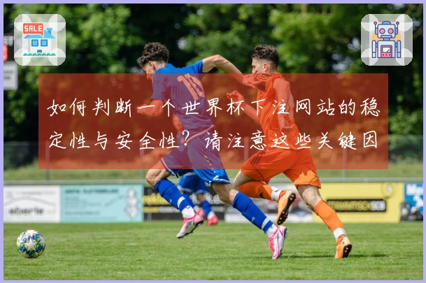 如何判断一个世界杯下注网站的稳定性与安全性？请注意这些关键因素