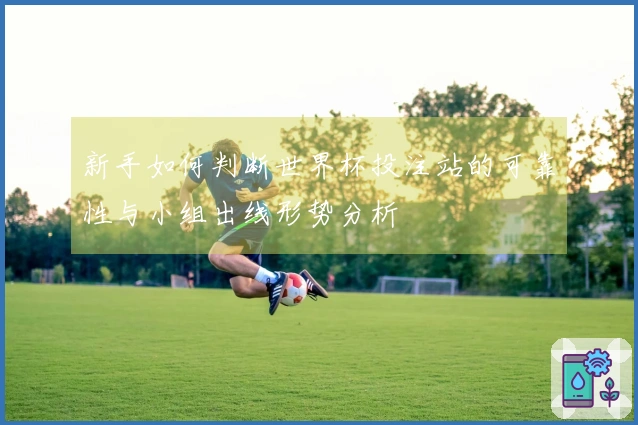 新手如何判断世界杯投注站的可靠性与小组出线形势分析